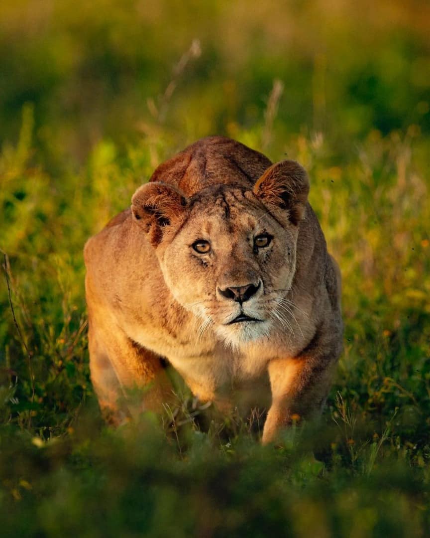 Whatsapp Image 2022 09 09 At 15.47.10