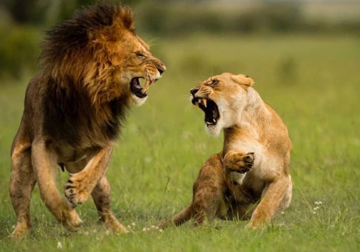 Whatsapp Image 2022 09 09 At 15.47.47