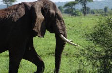 4-Day The Best of the Northern Zone Safari