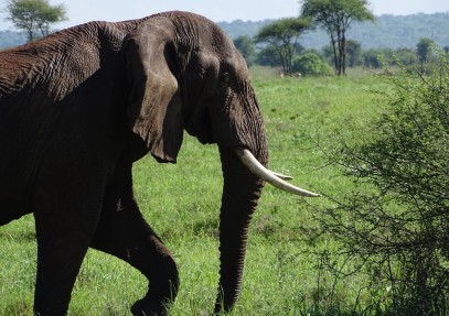 4-Day The Best of the Northern Zone Safari