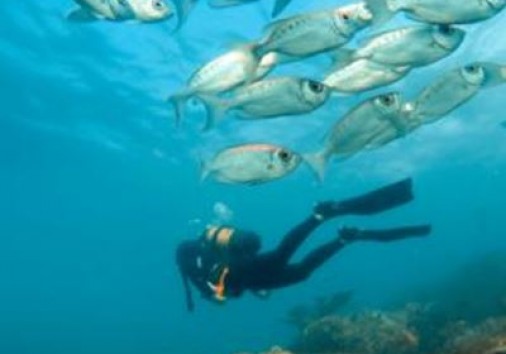 I H3e60a19b3b32b9acf401a586c58d2543fb1c1483