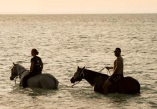 I H8c34dddd14da1b1b5c10ed870cb15f202998edb5