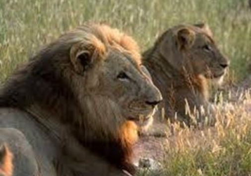 I Hbb09967ac2e66f0a3e5c14469f1feb34ca0a6daa