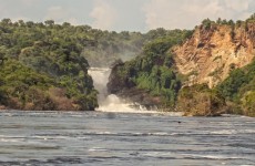 3-Day Murchison Falls and Rhino Tracking Safari