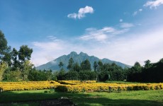 7 Days Best of Rwanda Safari