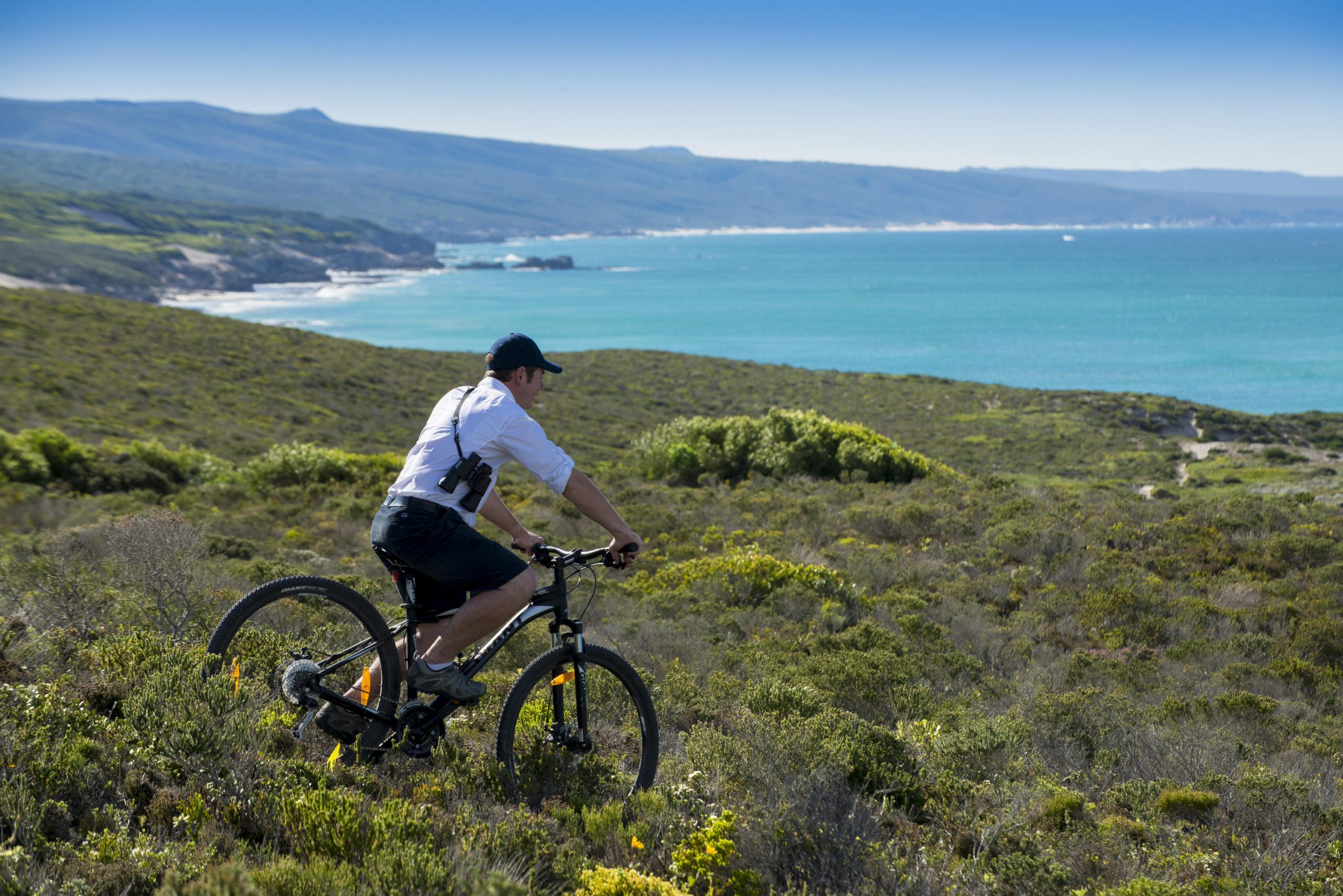 Mountain Biking
