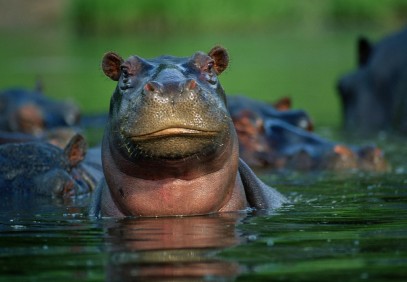 4-Day Tarangire, Serengeti & Ngorongoro Mid-Range Safari