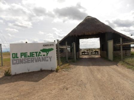 ConQuest Adventures Ol Pejeta Conservancy