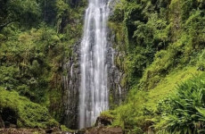 1-Day Materuni Village, Waterfalls and Coffee Tour