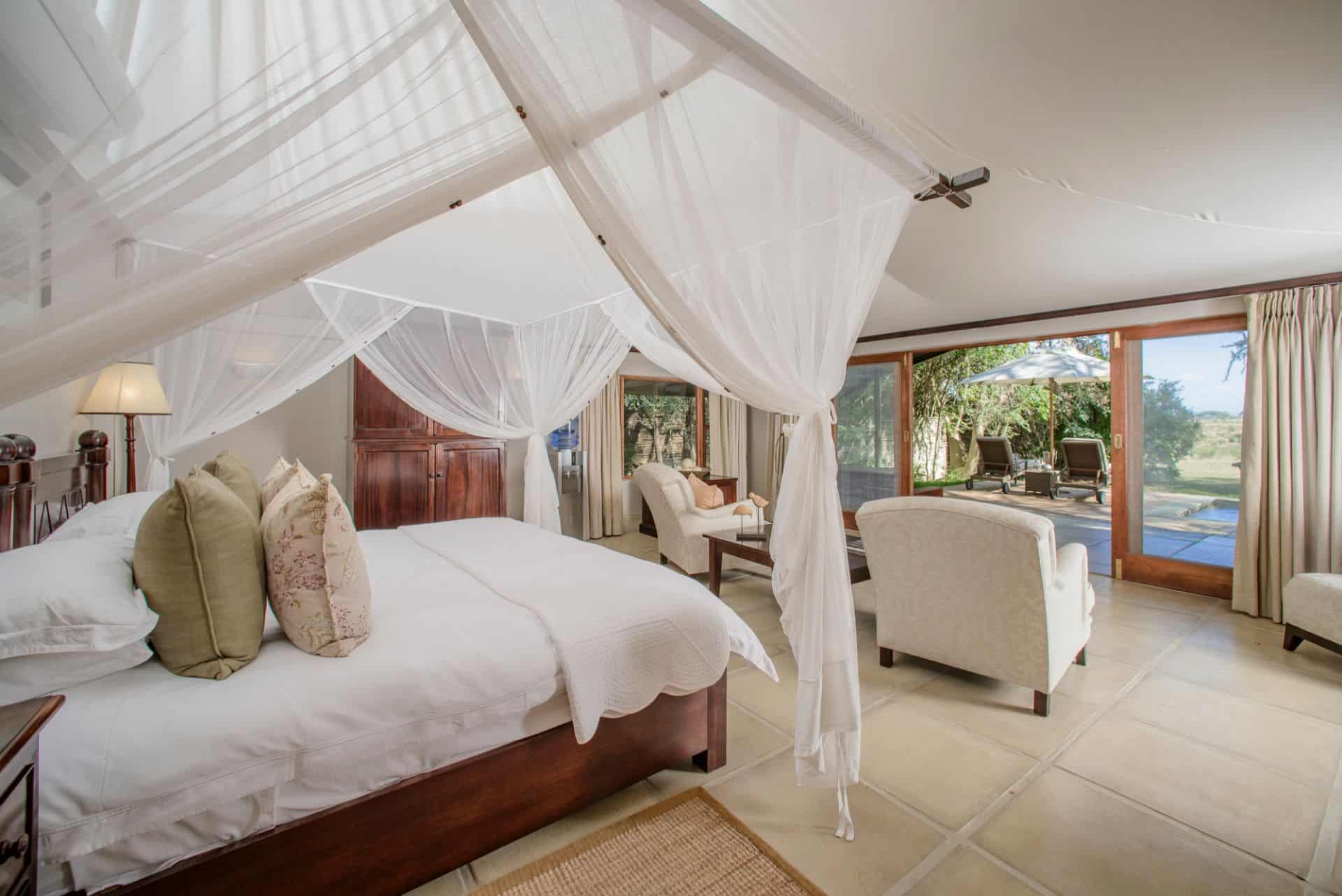 Savanna 7