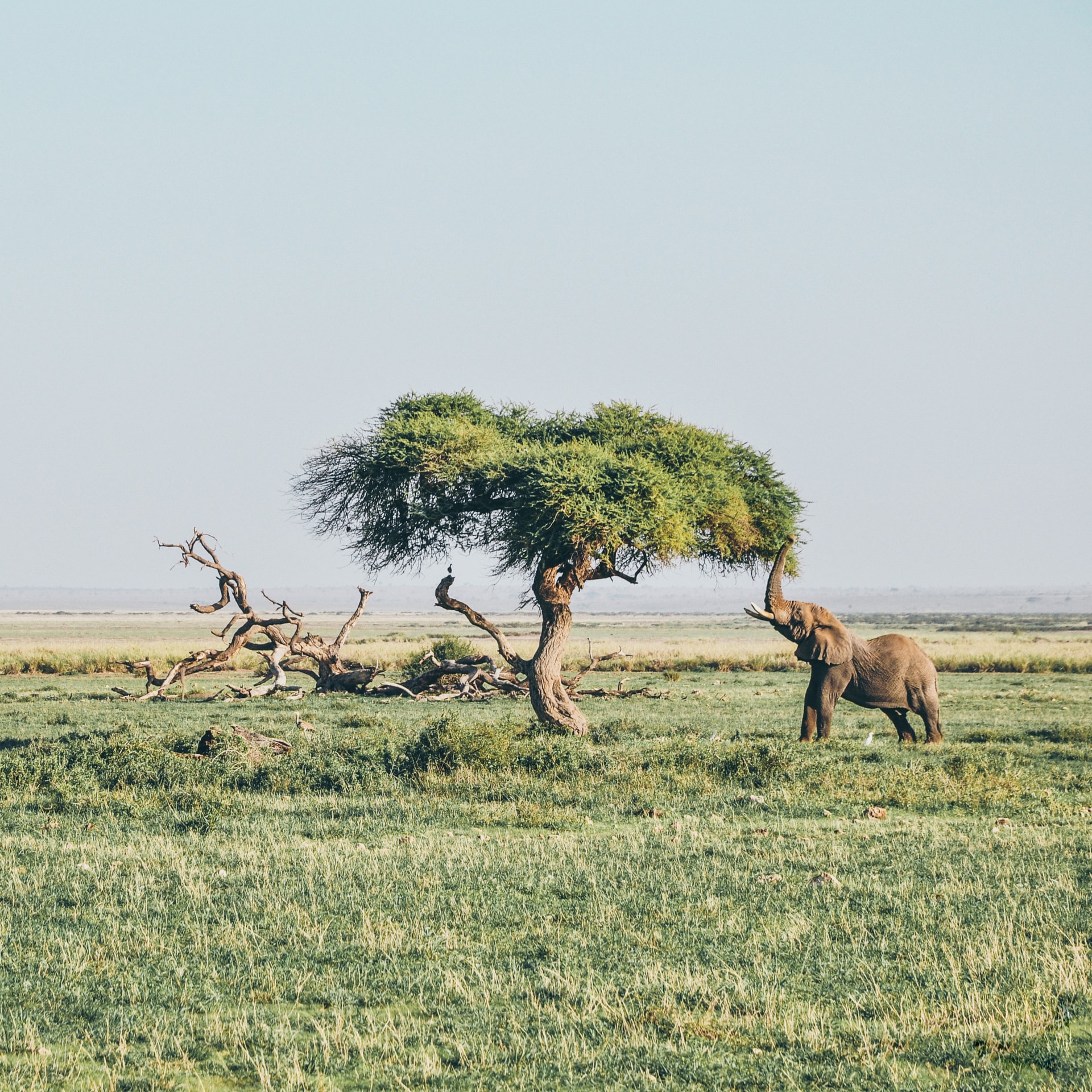 Harshil Gudka 0prglfryy08 Unsplash