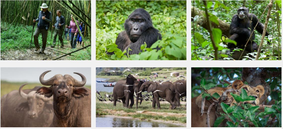 10 Days Safari