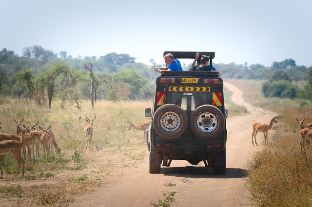 Rwanda 7 Days Safari