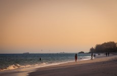 5-Day Bush and Beach Safari Tsavo and Watamu