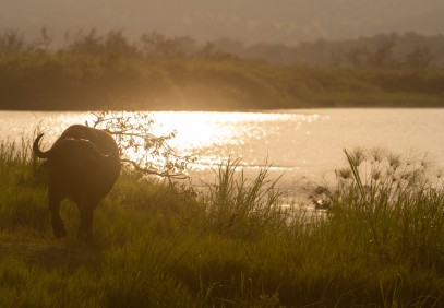 4-Day Rwanda Gorilla and Cultural Village Tour