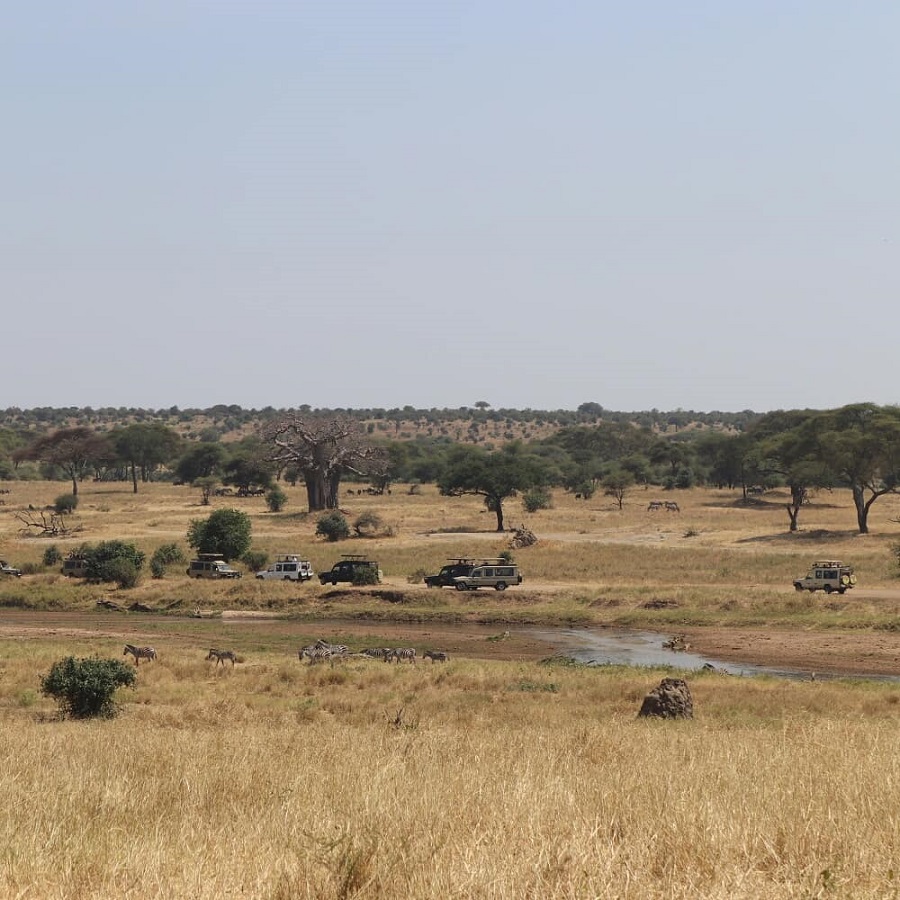 Tarangire National Park 1625060065078544
