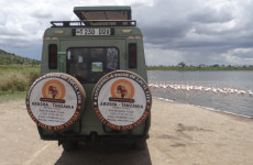 3-Day Africa Magic Safari