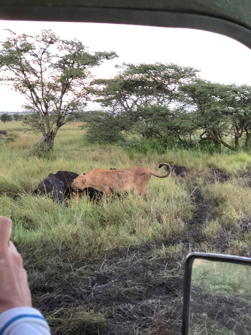 Img 20200907 Wa0028