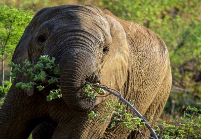 5 Days Northern Tanzania Sharing Safari