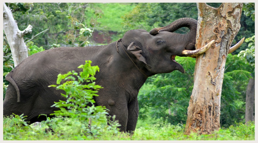 Widerange African Safaris Co Ltd (99)