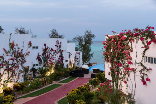 Zanzibar Nungwi Dreams