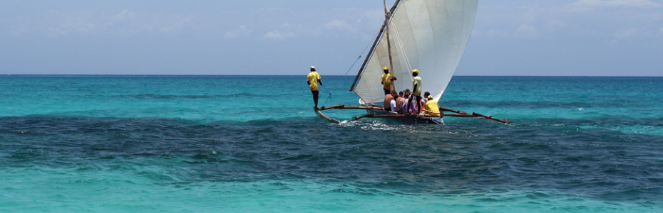Znz Tourism Safari Blue Main