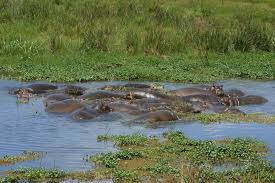 Images (6)