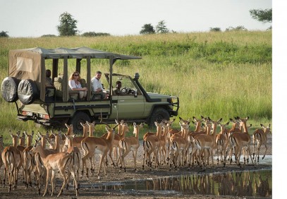 Day Trip to Selous Game Reserve from Zanzibar