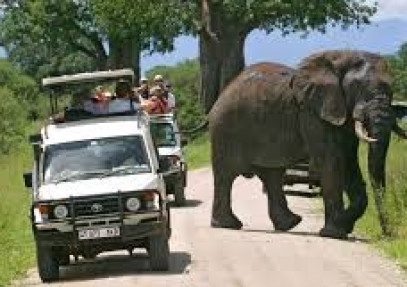 3 Days Northern Tanzania Shining Safari