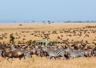 6 Days Serengeti Migration Safari