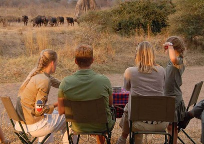 2 Days Highlights of Tarangire and Manyara National Park
