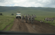 3 Days Tanzania Lodge Safari
