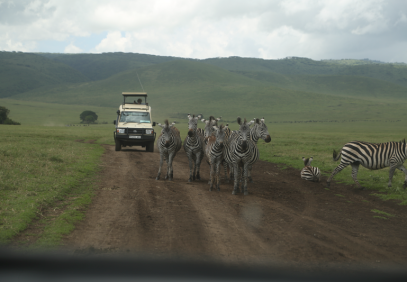 3 Days Tanzania Lodge Safari