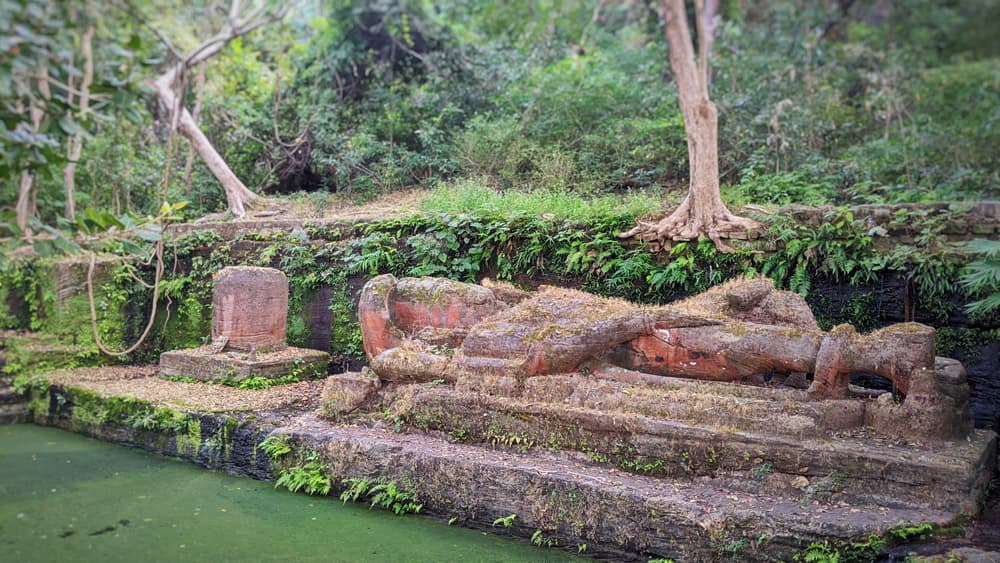 Bandhavgarh Shesh Shaiya