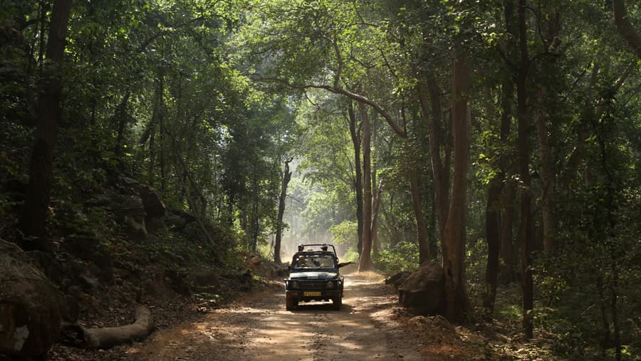 Bandhavgarh3