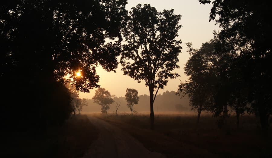 Bandhavgarh4