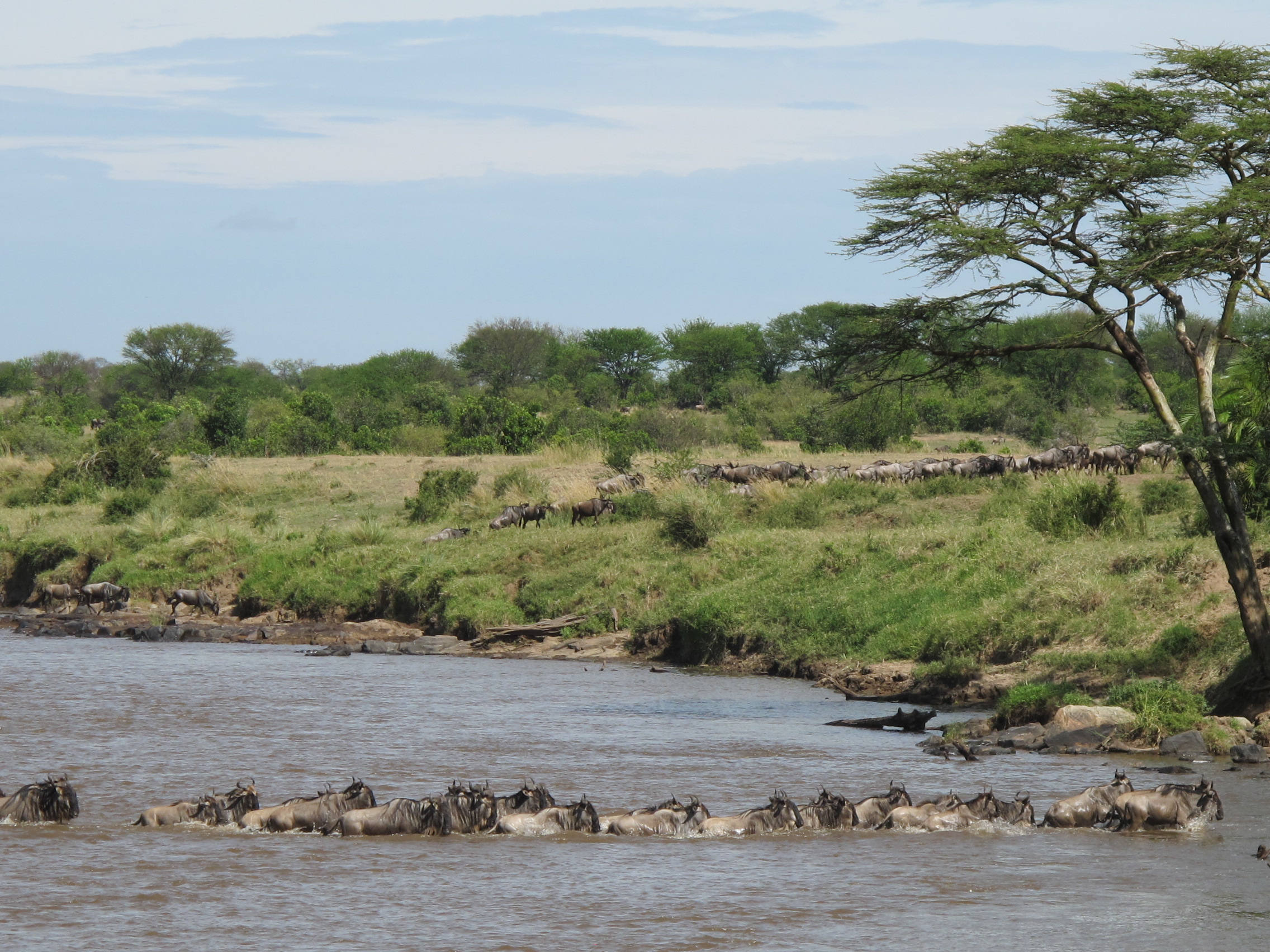 Exclusive Tanzania Safari