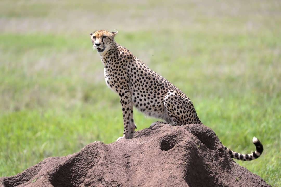 Img 20200218 Wa0048