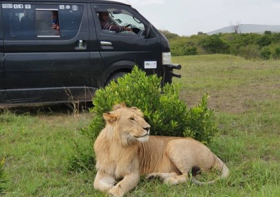 6-Day Masai Mara, Lake Nakuru, Amboseli Safari