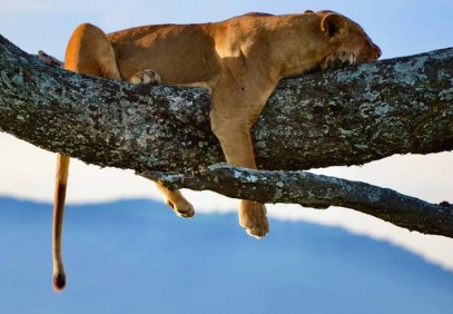 3 Days Ngorongoro, Tarangire and Lake Manyara National Park