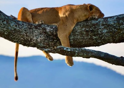3 Days Ngorongoro, Tarangire and Lake Manyara National Park