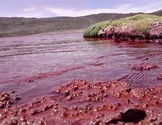 Lake Natron2