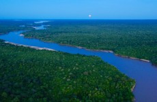 3-Day Selous Safari From Zanzibar