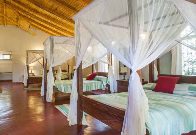 Ngorongoro Farm House Room