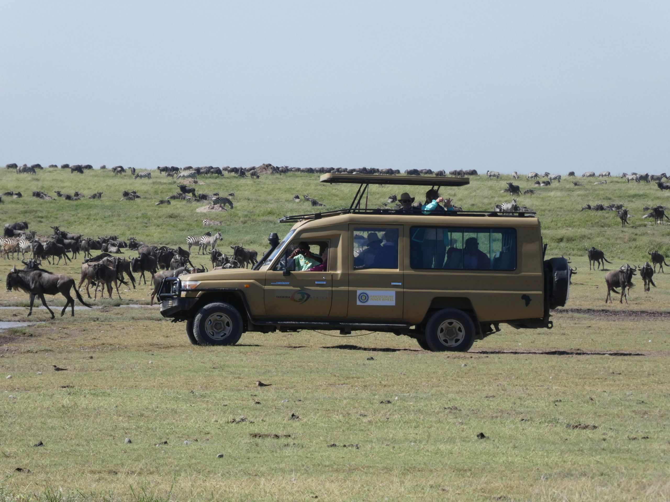 Safari Taswira Africa