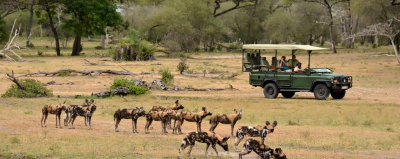 Selousgamereserve Selous