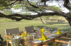 Hidden Gem in the Mara