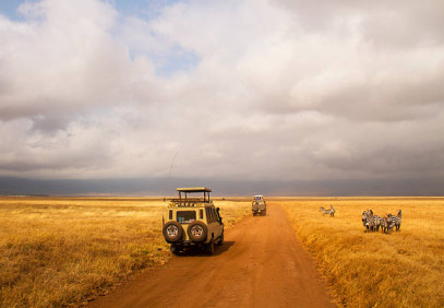 4 Days Tanzania Lodge Safari