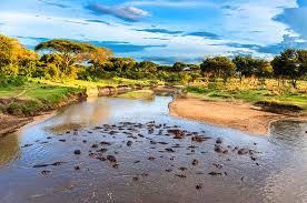 Selous10