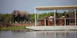 Selous9